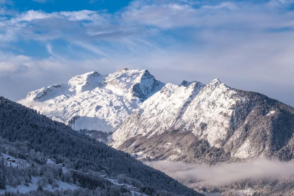 Chalet Zenspace Vila Le Grand-Bornand Exterior foto